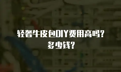 轻奢牛皮包DIY费用高吗？多少钱？