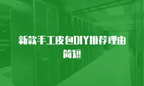 新款手工皮包DIY推荐理由简短