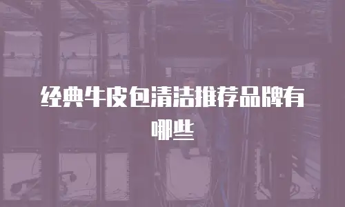 经典牛皮包清洁推荐品牌有哪些