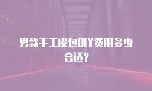 男款手工皮包DIY费用多少合适?