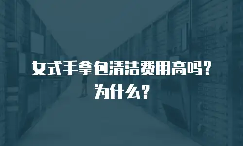 女式手拿包清洁费用高吗？为什么？