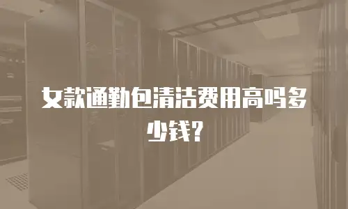女款通勤包清洁费用高吗多少钱？