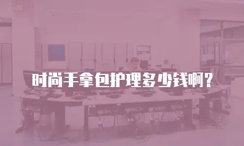 时尚手拿包护理多少钱啊？