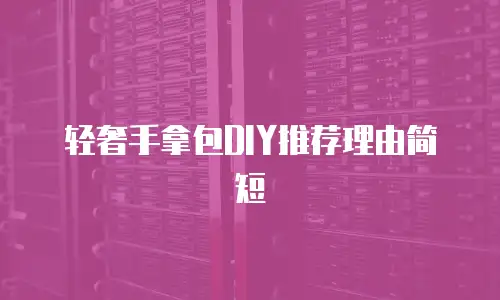 轻奢手拿包DIY推荐理由简短