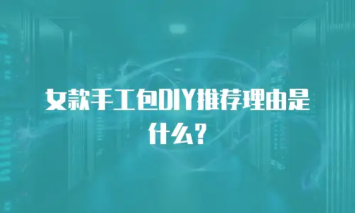 女款手工包DIY推荐理由是什么？