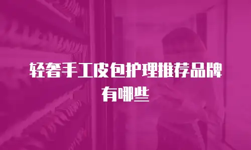 轻奢手工皮包护理推荐品牌有哪些