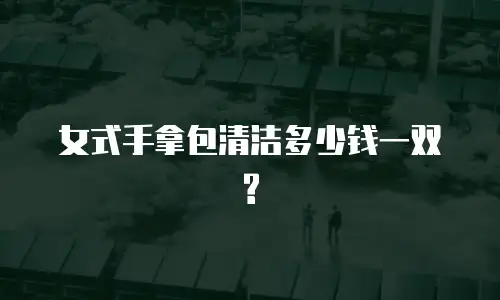  女式手拿包清洁多少钱一双?