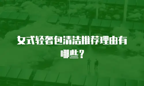 女式轻奢包清洁推荐理由有哪些？