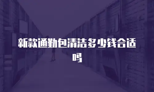 新款通勤包清洁多少钱合适吗