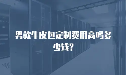 男款牛皮包定制费用高吗多少钱？