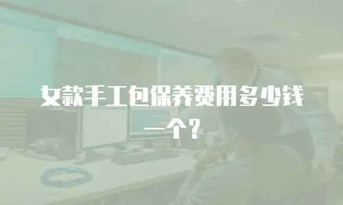 女款手工包保养费用多少钱一个？