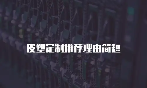 皮塑定制推荐理由简短