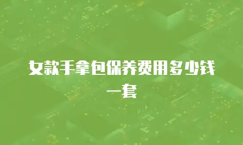 女款手拿包保养费用多少钱一套