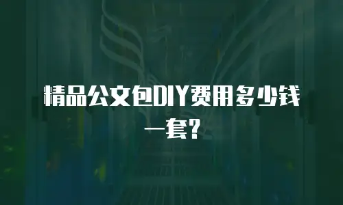 精品公文包DIY费用多少钱一套？