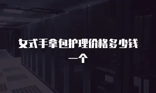 女式手拿包护理价格多少钱一个
