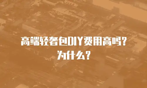 高端轻奢包DIY费用高吗？为什么？