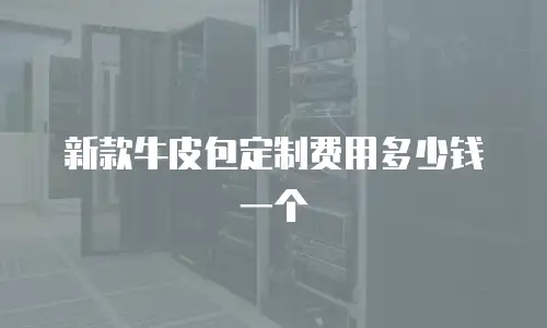 新款牛皮包定制费用多少钱一个