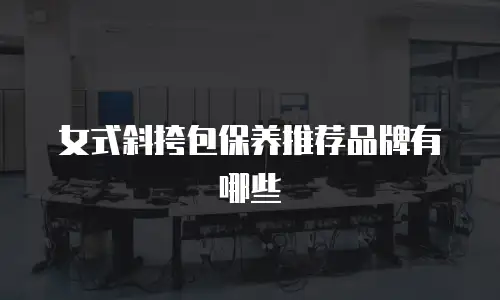 女式斜挎包保养推荐品牌有哪些