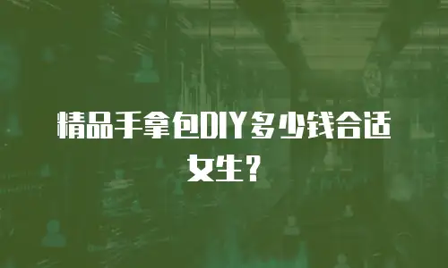 精品手拿包DIY多少钱合适女生？