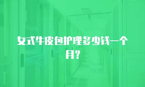 女式牛皮包护理多少钱一个月？