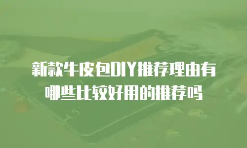 新款牛皮包DIY推荐理由有哪些比较好用的推荐吗