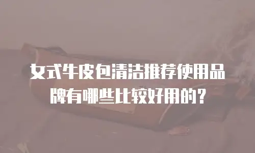 女式牛皮包清洁推荐使用品牌有哪些比较好用的？