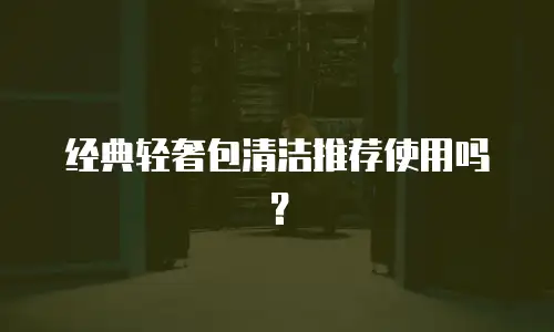 经典轻奢包清洁推荐使用吗？