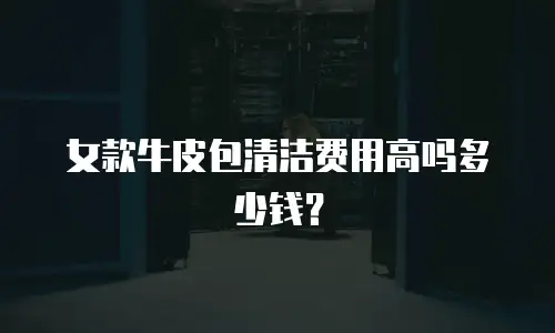 女款牛皮包清洁费用高吗多少钱？