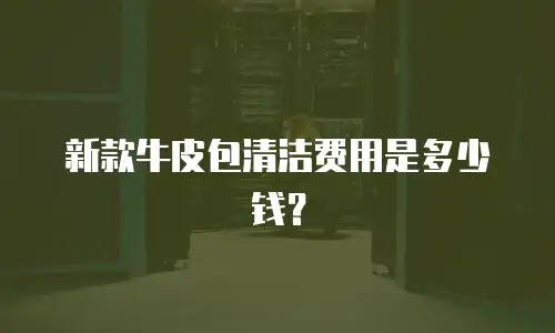新款牛皮包清洁费用是多少钱？