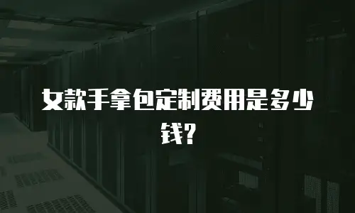 女款手拿包定制费用是多少钱？