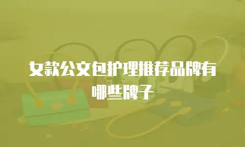女款公文包护理推荐品牌有哪些牌子