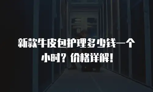 新款牛皮包护理多少钱一个小时？价格详解！