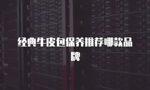 经典牛皮包保养推荐哪款品牌