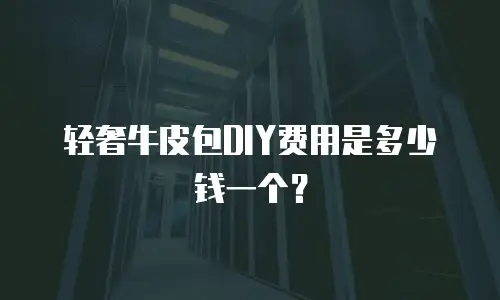 轻奢牛皮包DIY费用是多少钱一个？