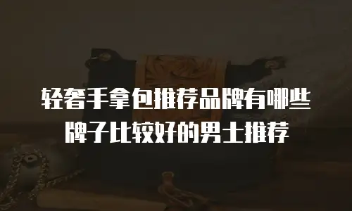 轻奢手拿包推荐品牌有哪些牌子比较好的男士推荐