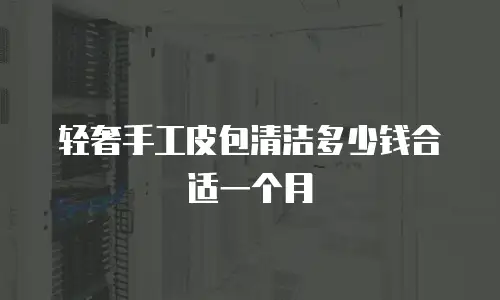 轻奢手工皮包清洁多少钱合适一个月