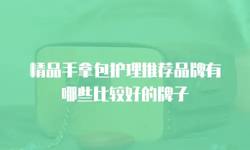 精品手拿包护理推荐品牌有哪些比较好的牌子