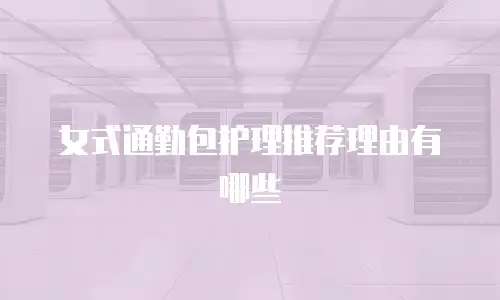 女式通勤包护理推荐理由有哪些