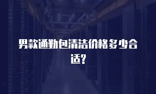 男款通勤包清洁价格多少合适?