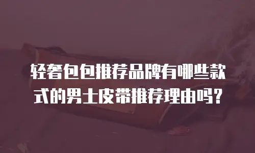 轻奢包包推荐品牌有哪些款式的男士皮带推荐理由吗？