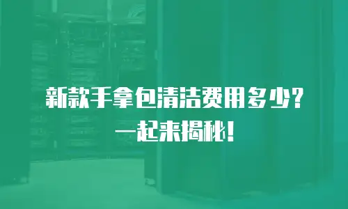 新款手拿包清洁费用多少？一起来揭秘！
