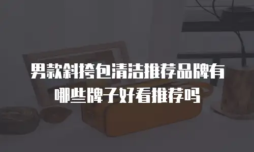 男款斜挎包清洁推荐品牌有哪些牌子好看推荐吗