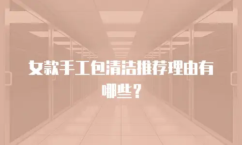 女款手工包清洁推荐理由有哪些？