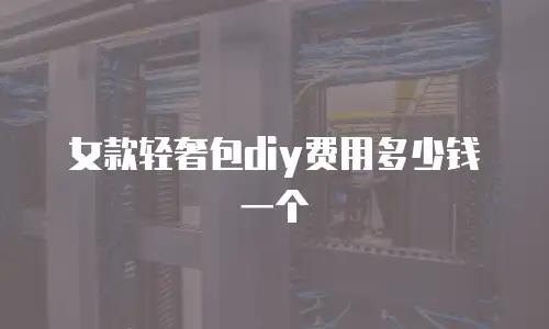 女款轻奢包diy费用多少钱一个