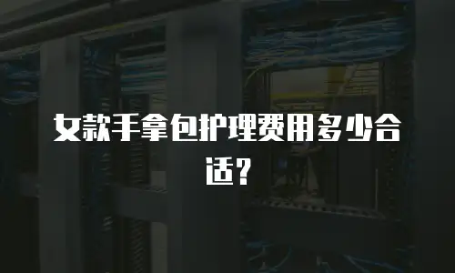 女款手拿包护理费用多少合适？