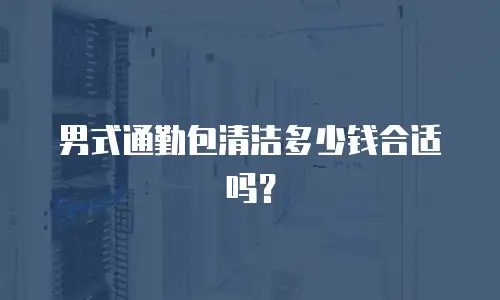 男式通勤包清洁多少钱合适吗？