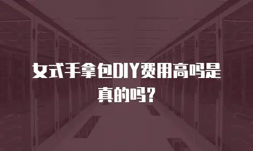 女式手拿包DIY费用高吗是真的吗？