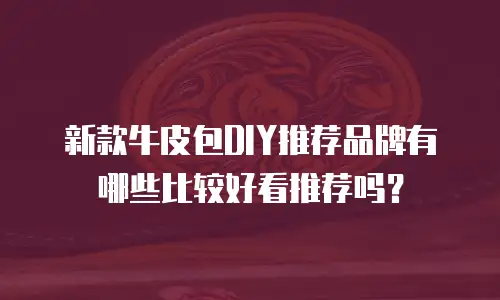 新款牛皮包DIY推荐品牌有哪些比较好看推荐吗？