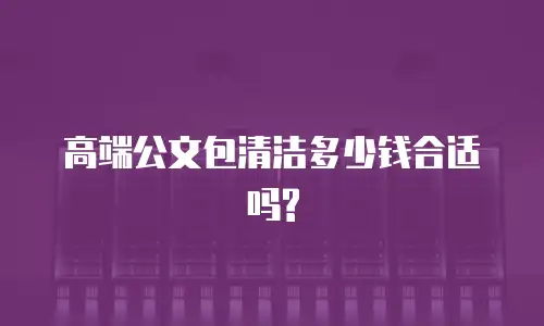高端公文包清洁多少钱合适吗?