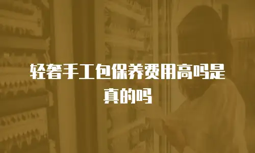 轻奢手工包保养费用高吗是真的吗